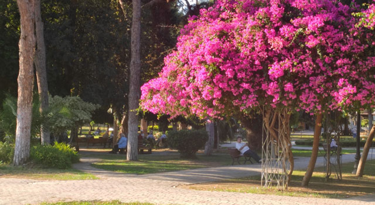 Termometreler 33 Dereceyi Göstermeye Devam Ediyor