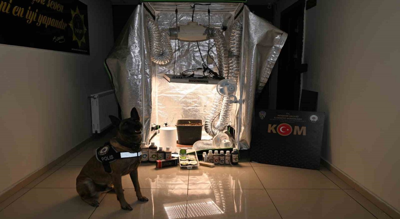 Test sonuçlarına para karşılığı müdahale: 20 gözaltı