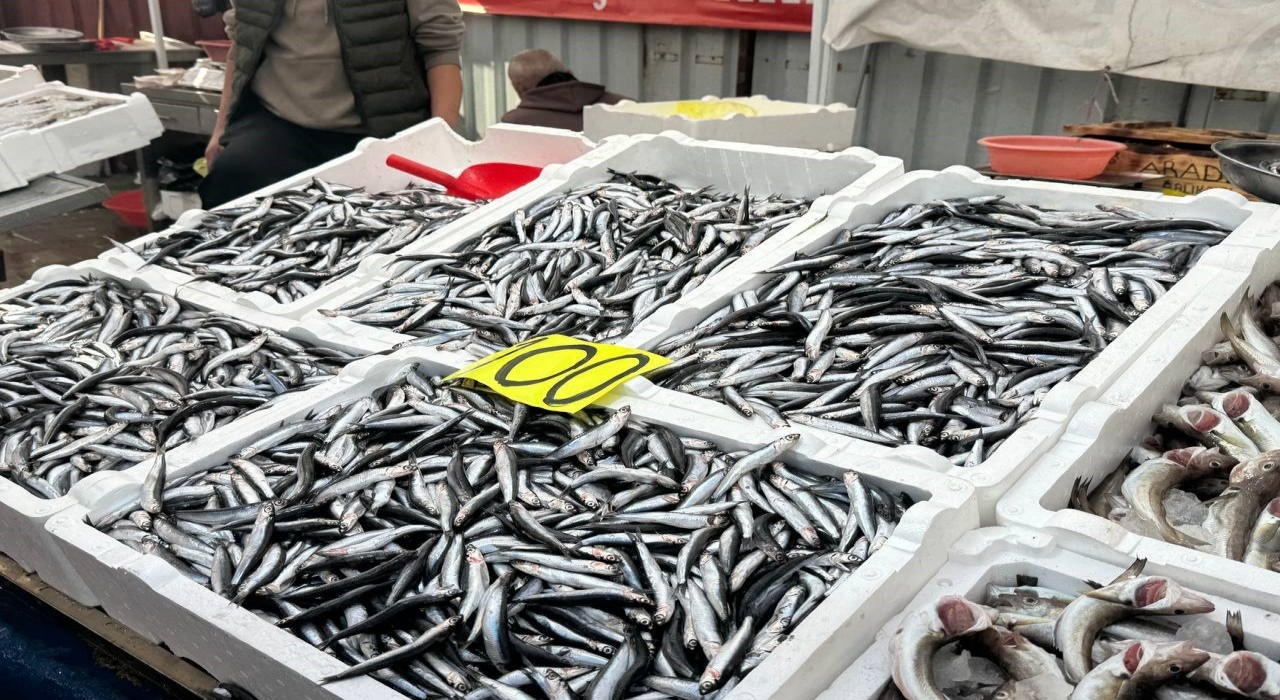 Tezgahta 100 liraya düşen hamsi yoğun ilgi gördü