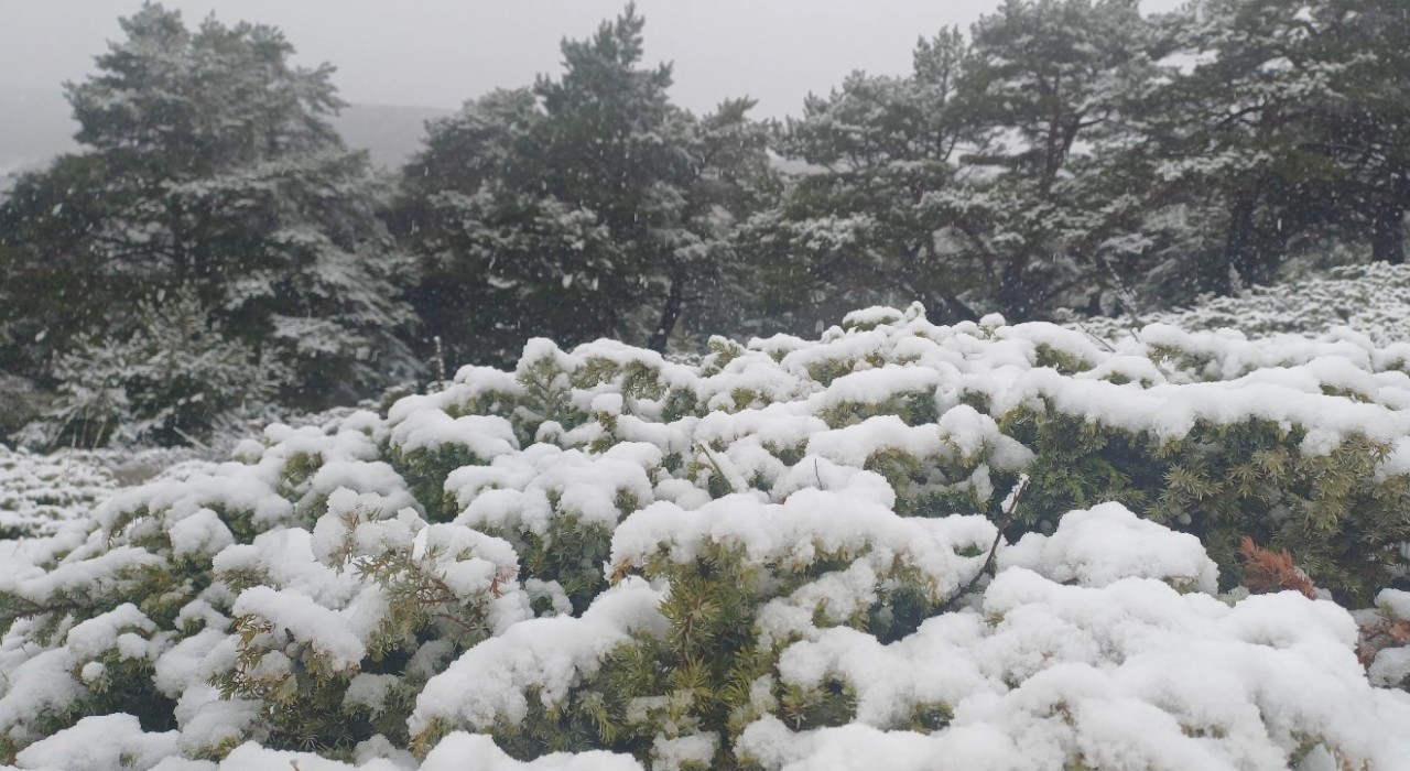 Tokat yükseklerinde kar, kent merkezinde yağmur etkili oldu