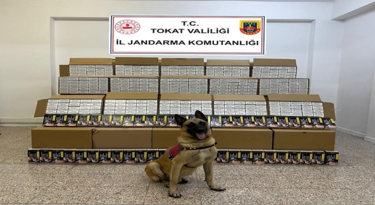 Tokatta 1 milyon 200 bin TL değerinde bandrolsüz makaron ele geçirildi