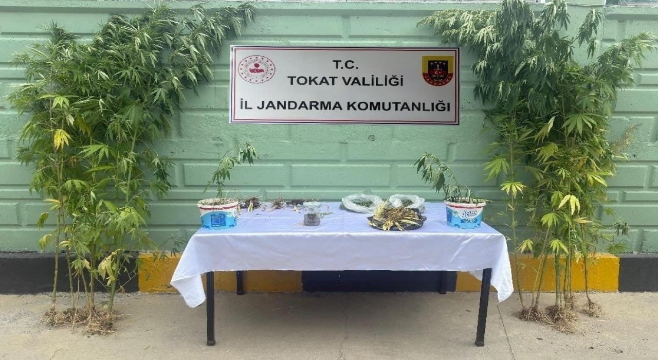 Tokatta jandarma ekipleri tarafından 2 ayda 56 kişi hakkında uyuşturucuya bağlı suçlarından işlem yapıldı