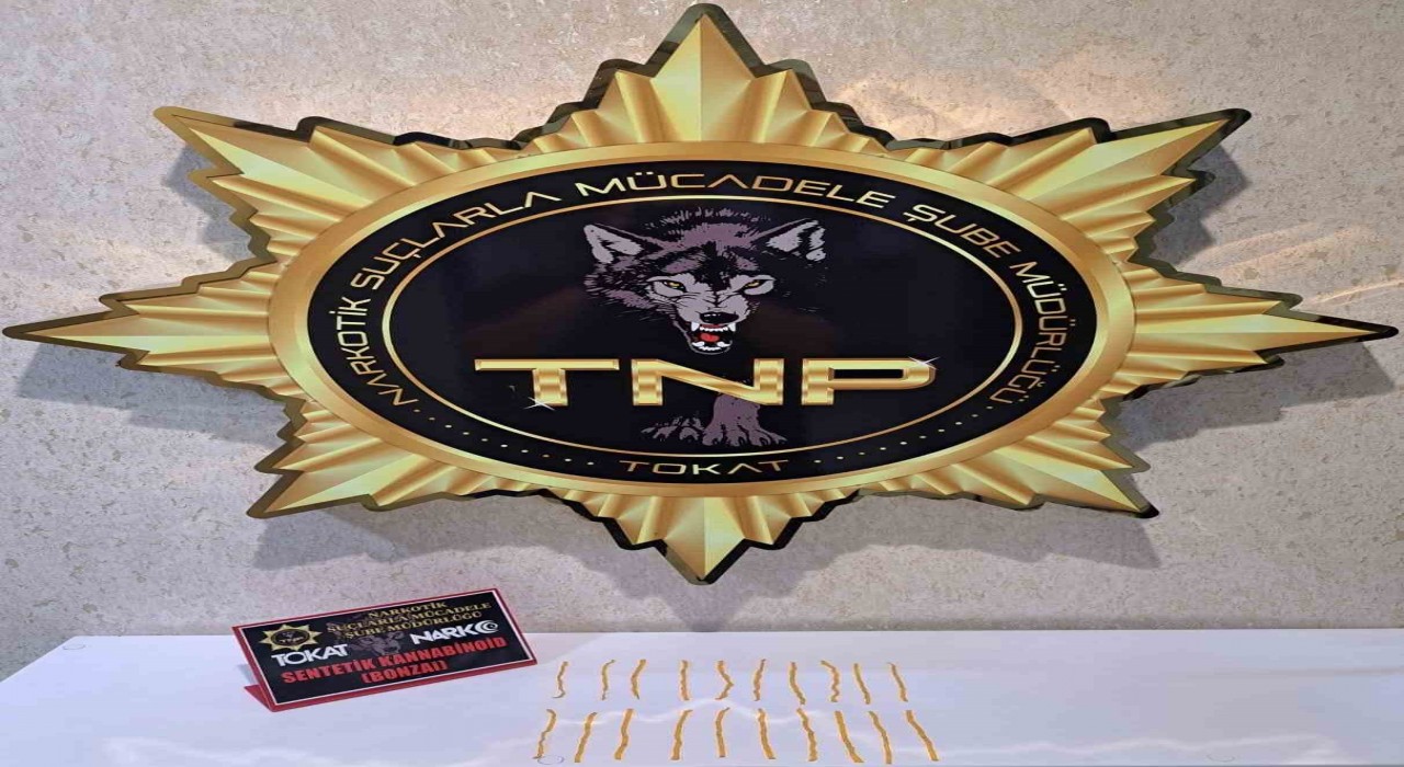 Tokatta uyuşturucu operasyonu, 500 içimlik bonzai ele geçirildi