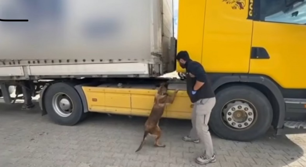 Tosyada tıra zulalanmış uyuşturucu ele geçirildi: 1 tutuklama