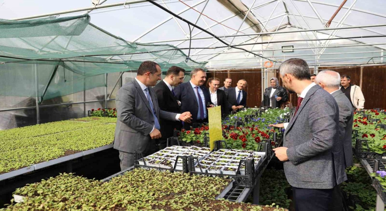 Trabzonun Akçaabat ilçesinde tarımsal üretime destek sürüyor