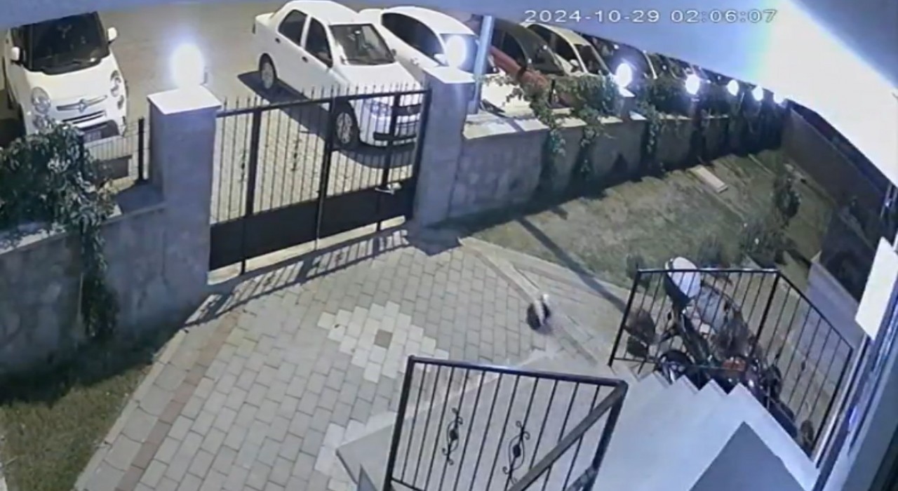 Tuğba Yavaşın şüpheli ölümüyle ilgili davada psikiyatri doktoru: İntihar eğilimi gözlemlemedik