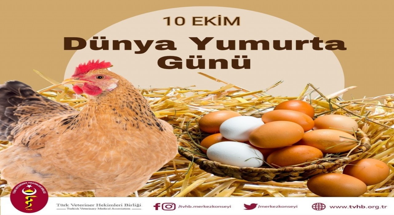 Türk Veteriner Hekimleri Birliği Başkanı Eroğlu: Yumurta doğanın en eşsiz gıda kaynaklarından biridir