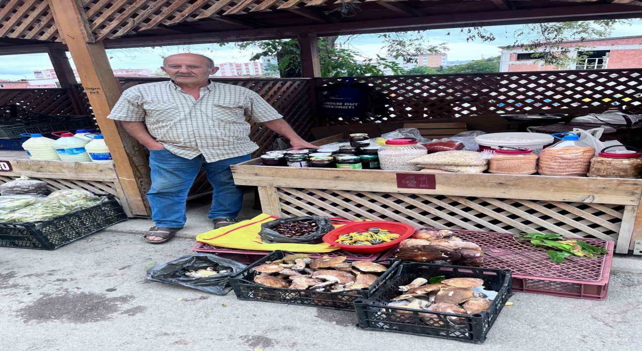 Türkelide kestane ve fesleğen mantarı tezgahlarda