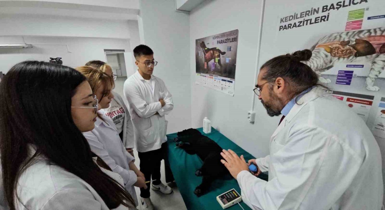 Türkiyede bir ilk: Meslek yüksekokulunda veteriner sağlık eğitimi simülatörlerle veriliyor