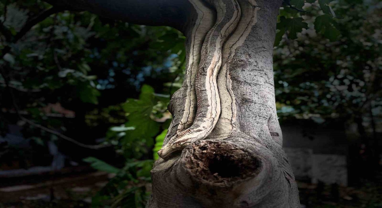Unutulan sanatı emekliler hayata döndürüyor