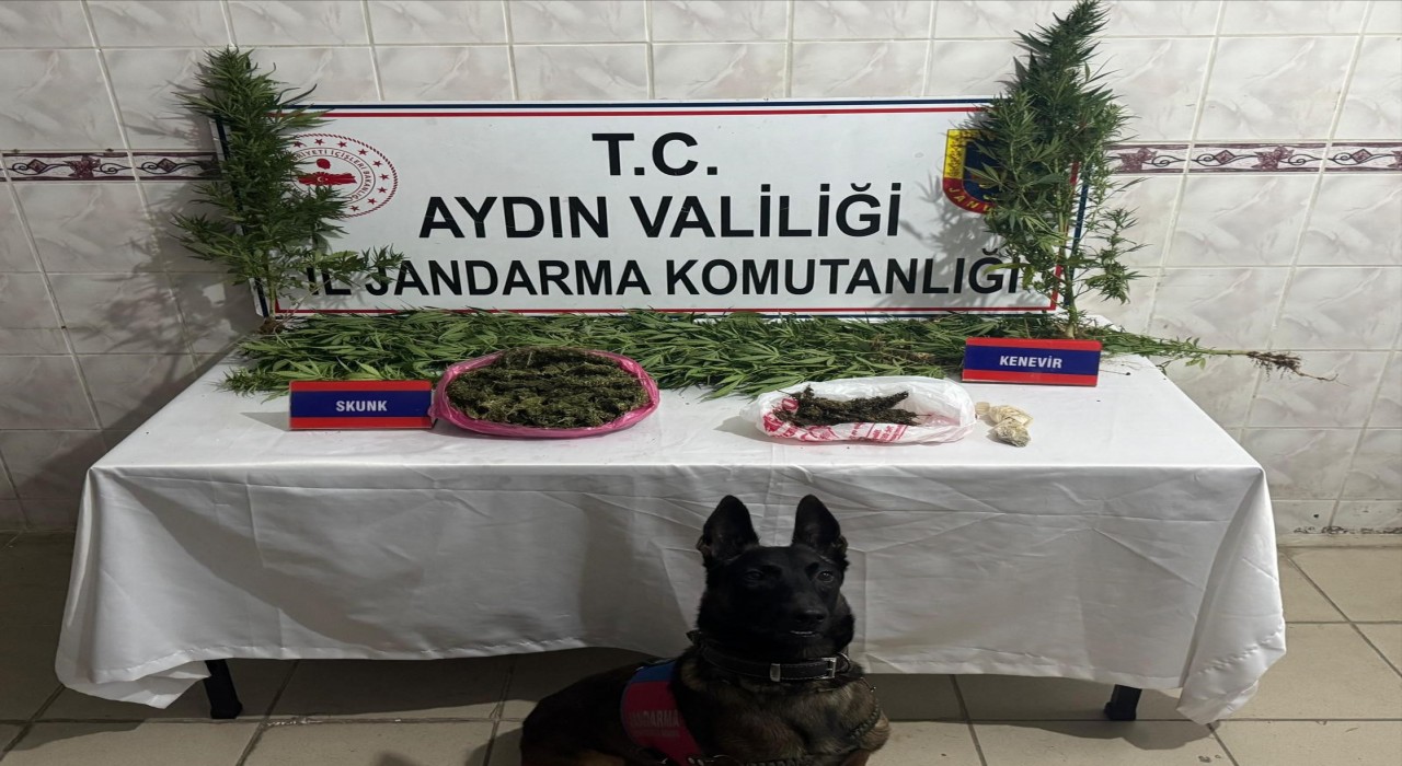 Uyuşturucu satıcısının evinde 498 gram skunk ele geçirildi