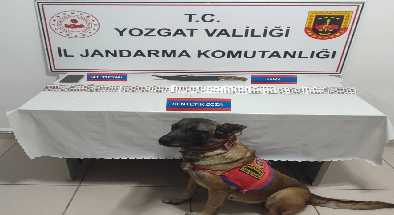 Üzerinde 170 adet uyuşturucu hapla yakalandı