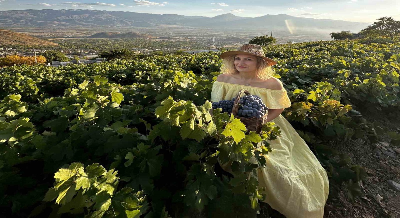 Üzümlüde Yaşam temalı fotoğraf yarışması düzenlenecek