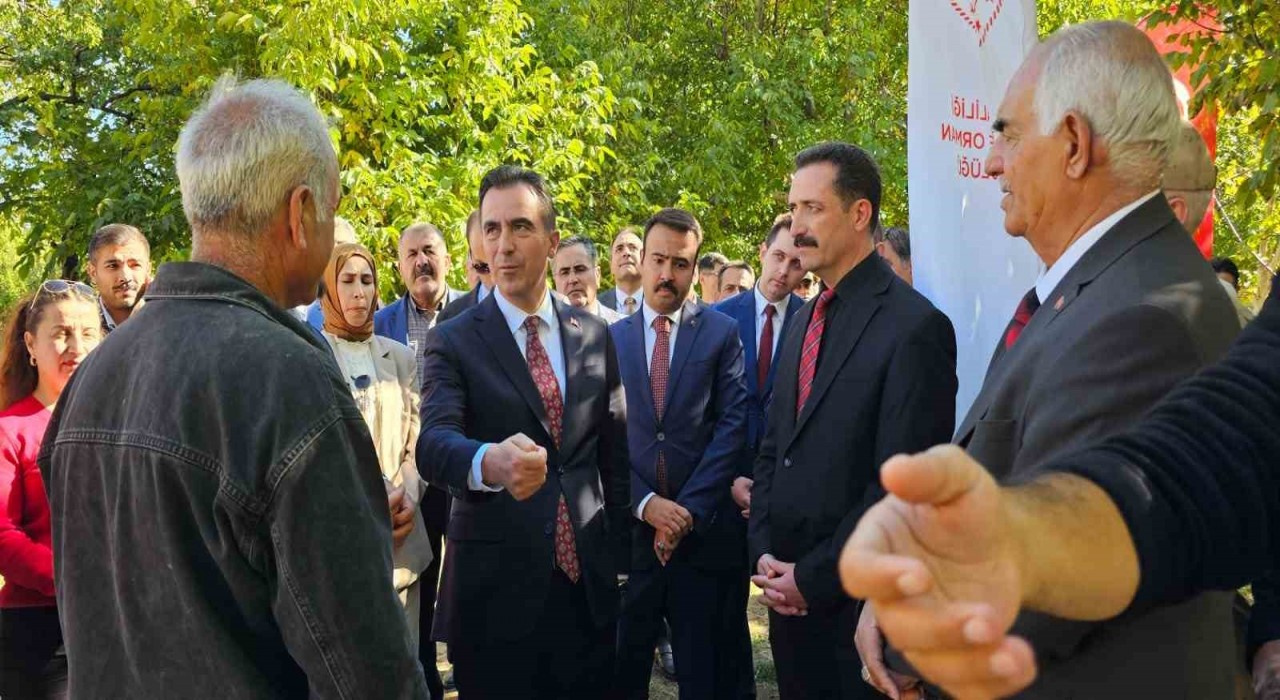 Vali Ahmet Karakaya ceviz hasadına katıldı