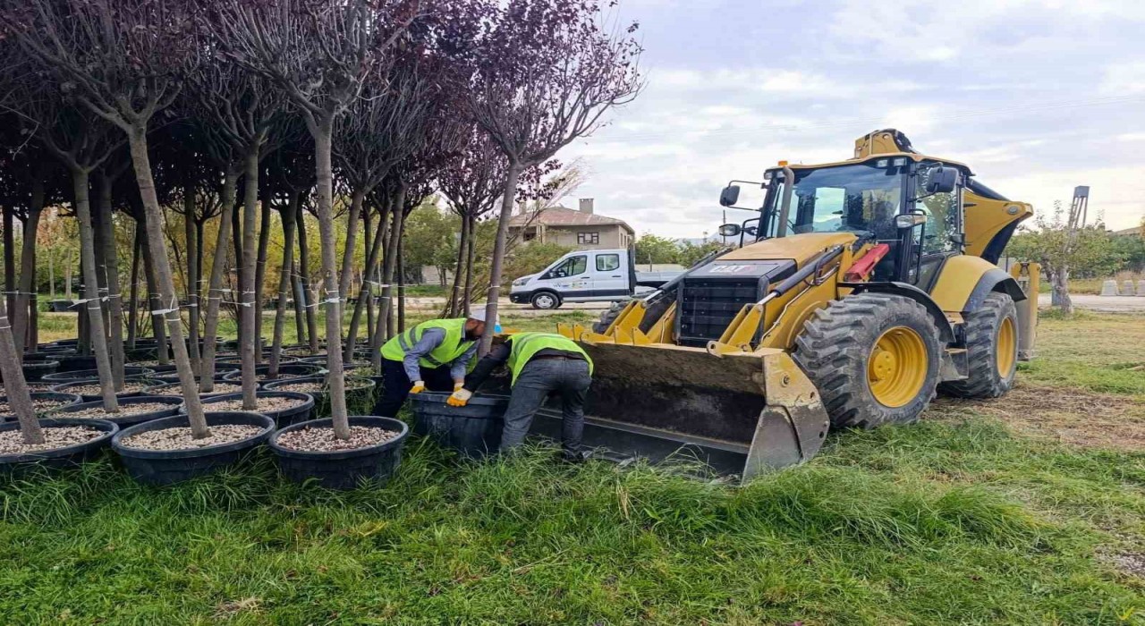 Van Büyükşehir Belediyesinden yeşillendirme çalışması