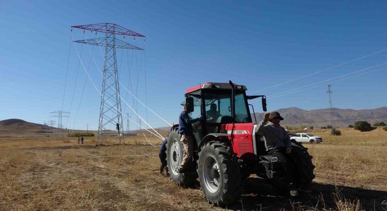 Vanda 31 kilometrelik enerji hattı tamamlandı: Çalışmalarda yabani kuşlar gözetildi