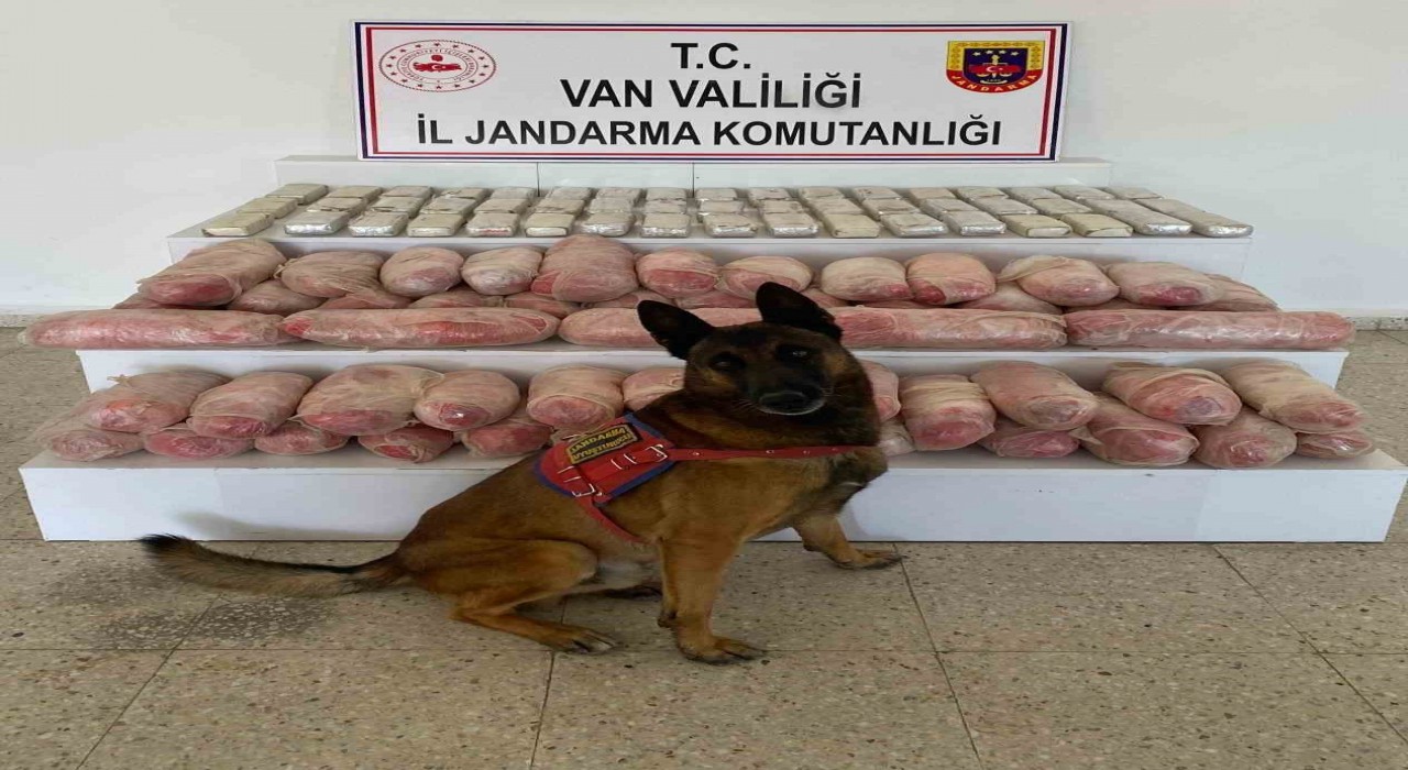 Vanda 67 kilo uyuşturucu ele geçirildi