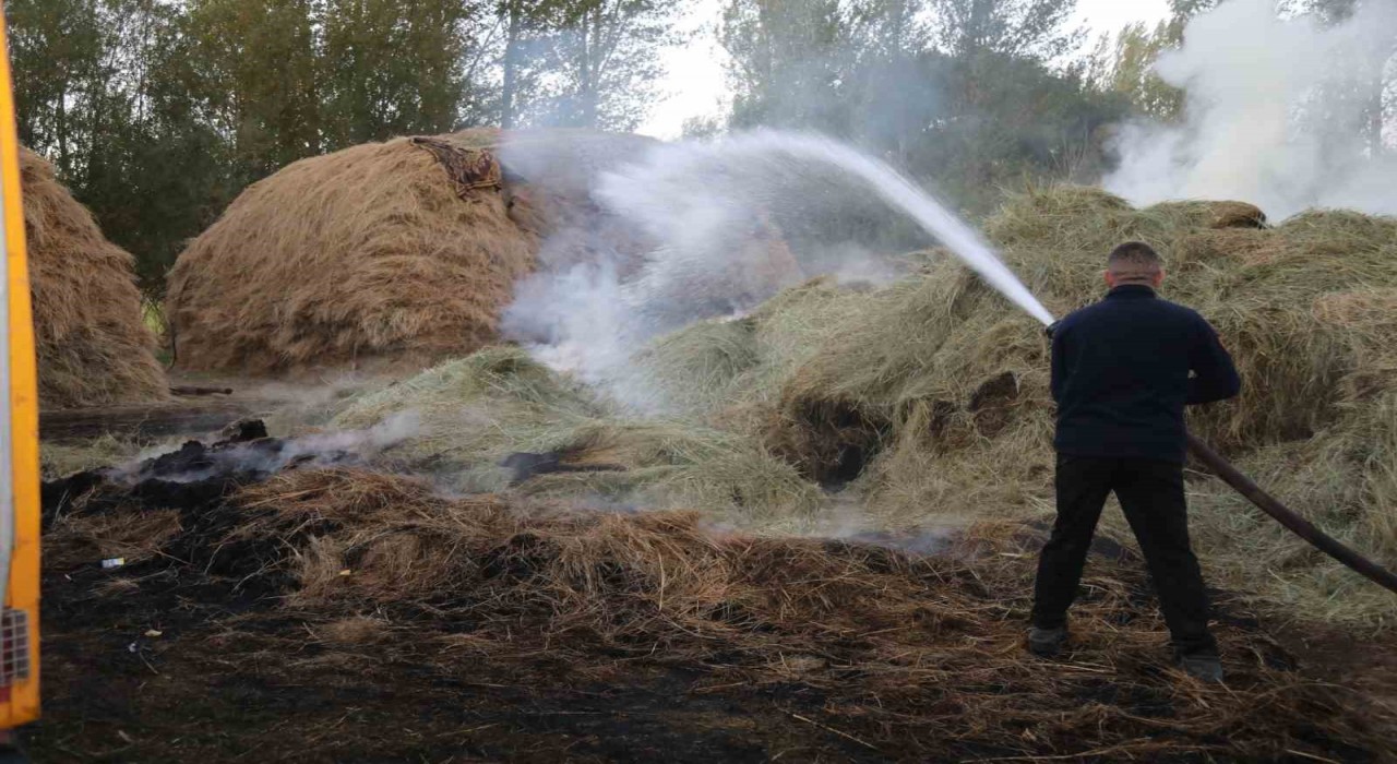 Vanda bin bağ ot yandı
