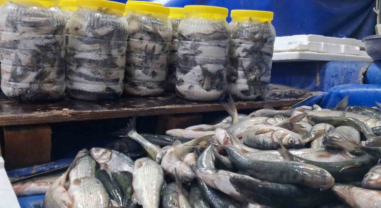 Vanda havaların soğumasıyla inci kefaline ilgi arttı