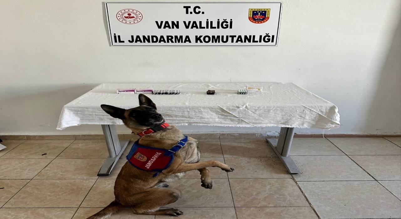 Vanda İran uyruklu şahsın üzerinden 380 adet sentetik hap ele geçirildi