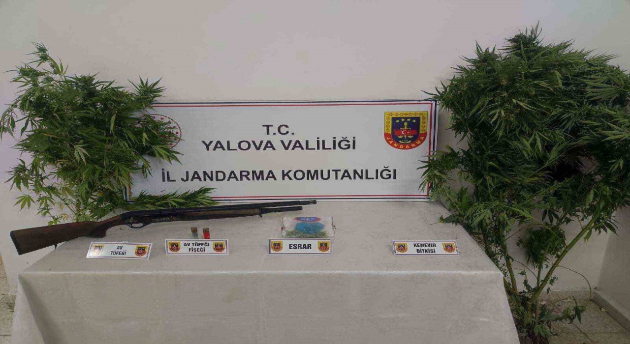 Yalovada ormanlık alanda uyuşturucu yetiştiren 2 şüpheli yakalandı