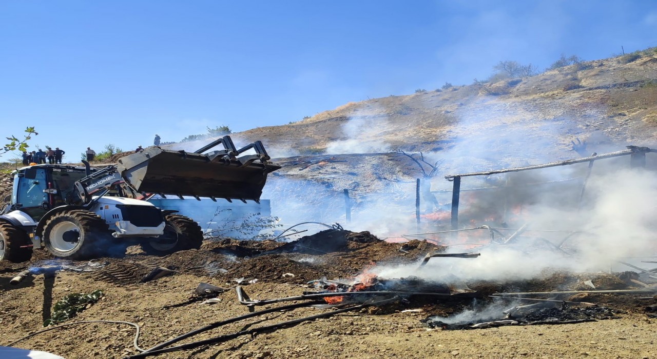 Yangında 13 küçükbaş hayvan telef oldu