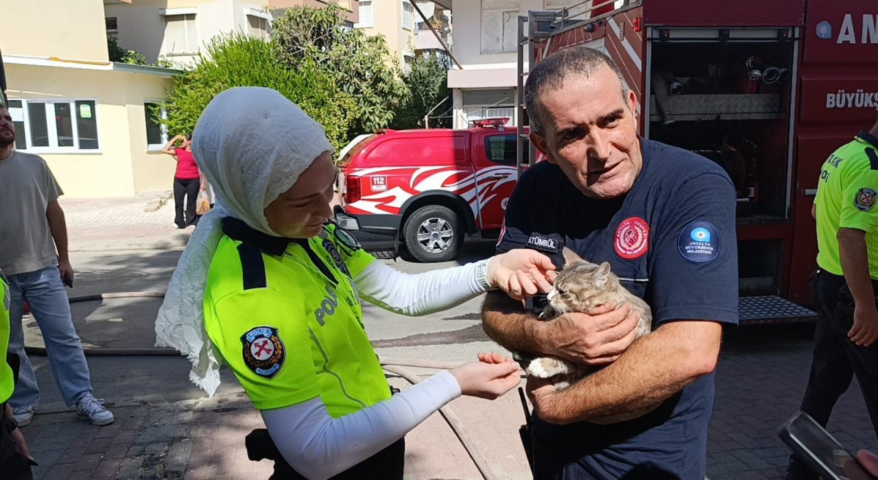 Yangında telef olduğu sanılan kedi dolabın arkasında saklanırken bulundu