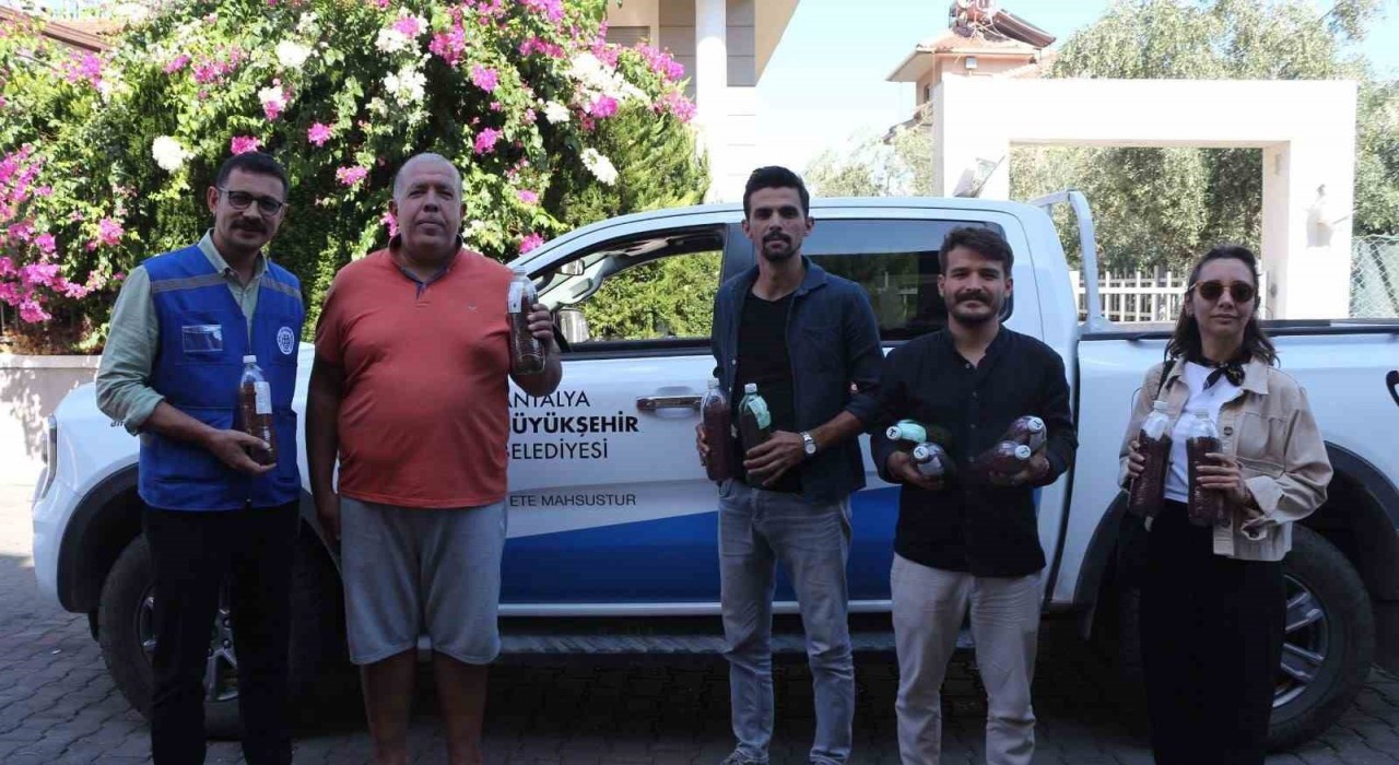 Yangınların ardından yeşil mücadele: Marmaristen Antalyaya tohum desteği