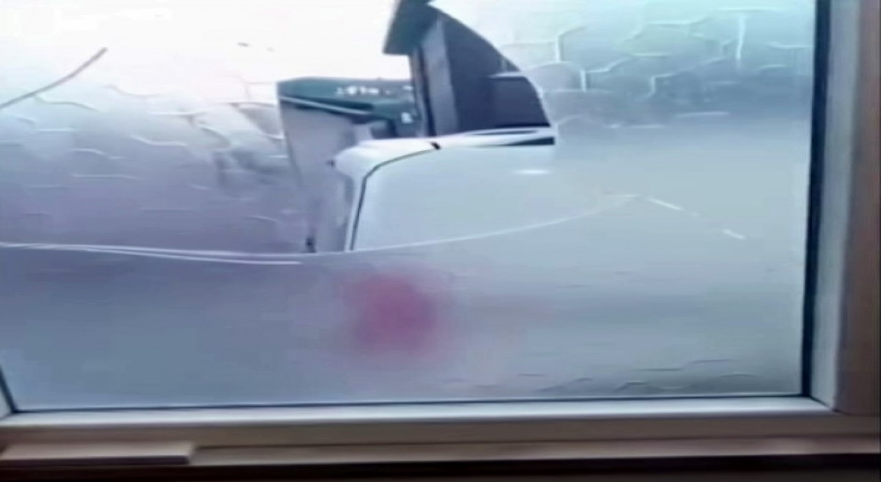 Yaşlı çift komşularının kabusu oldu