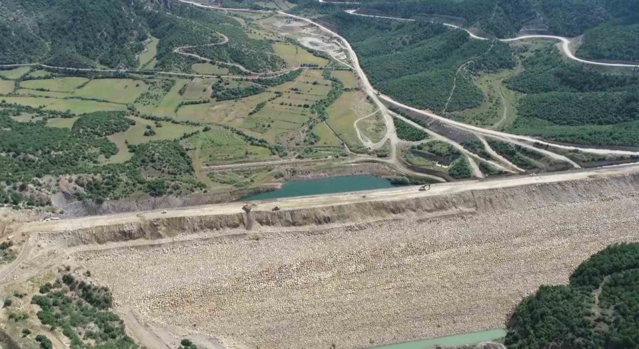 Yok olma tehlikesi bulunan bağ havacivası bitkisi baraj suları altında kalmaktan kurtarıldı