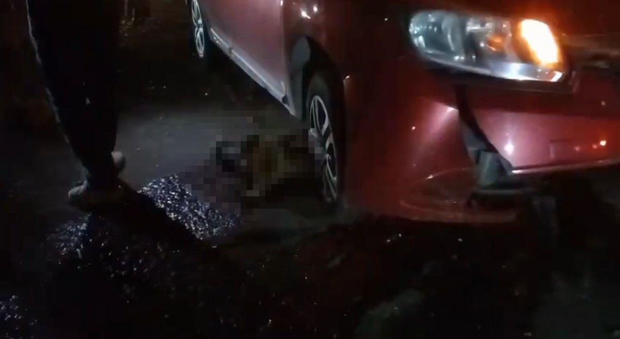 Yolda doğum yapan manda, yavrusuyla otomobil altında kalarak telef oldu