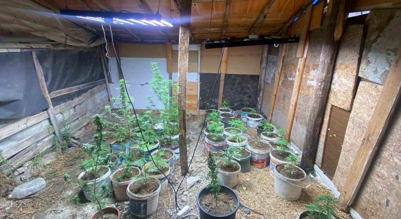 Zahir tacirlerinin kurduğu sistemi jandarma bozdu