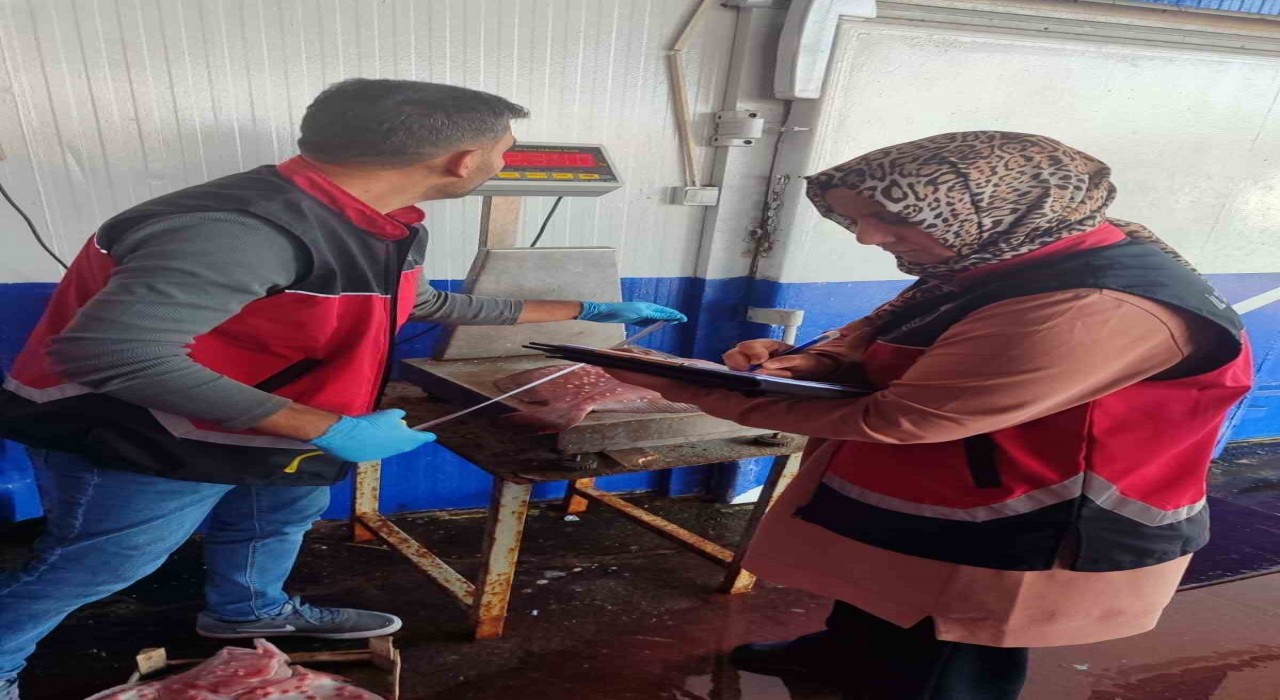 Zonguldakta su ürünleri denetimleri sürüyor