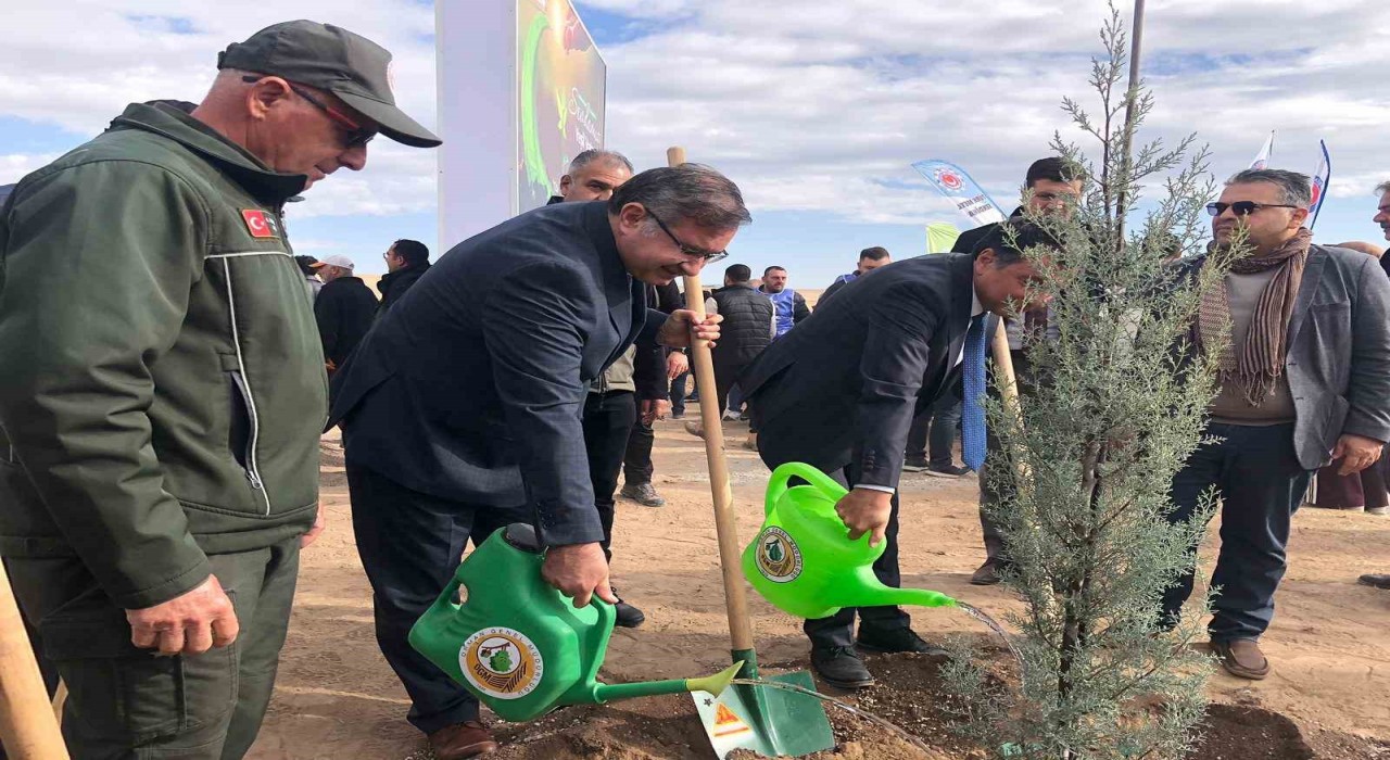 11 Kasım Milli Ağaçlandırma Gününde 20 bin fidan dikildi