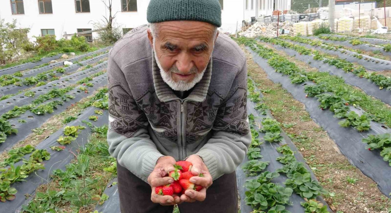 85 yaşındaki İbrahim dede Hayır Bahçesinde yetiştirdiği meyve ve sebzeleri ücretsiz ikram ediyor