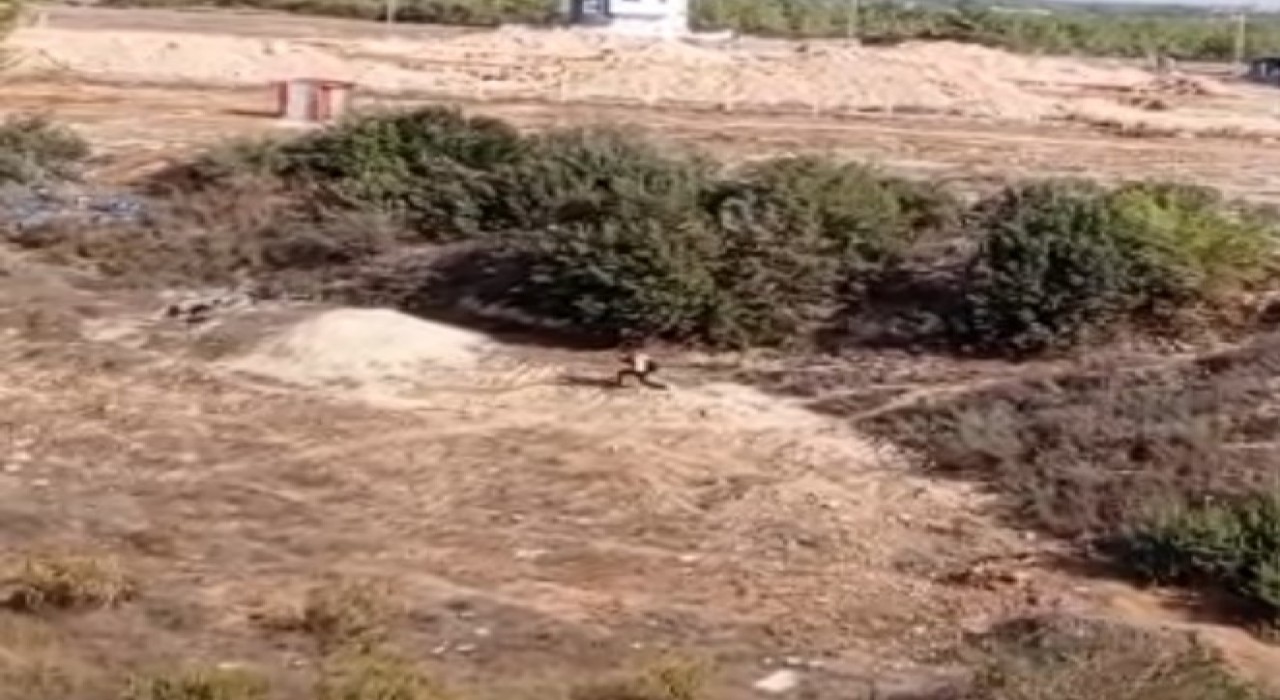 Adanada nefes kesen kovalamaca: Firari hükümlü boş arazide yakalandı