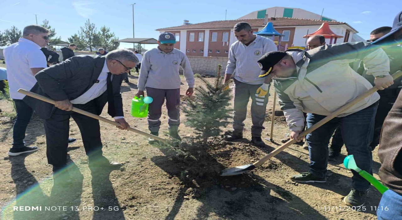 Afyonkarahisarda binlerce fidan toprakla buluşturuldu
