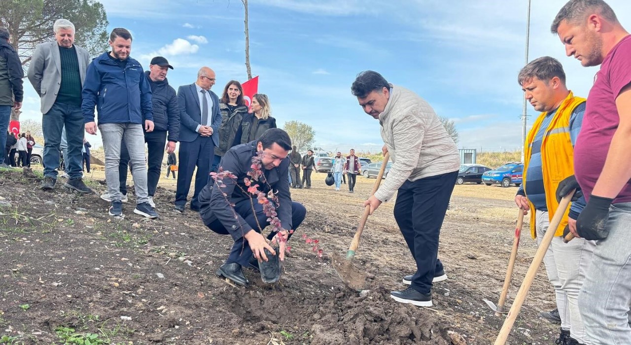 Ağaçlandırma günü etkinliği Havranda gerçekleştirildi