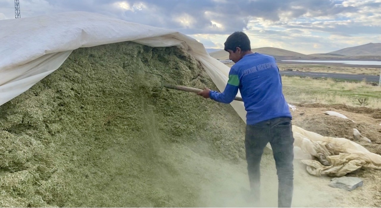 Ağrıda besiciler kış hazırlıklarına başladı