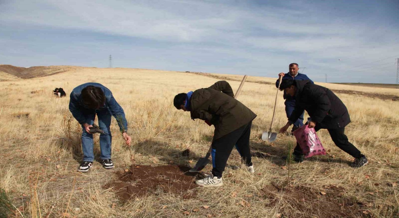 Ahlatta Maziden Atiye programı kapsamında öğrenciler fidan dikti