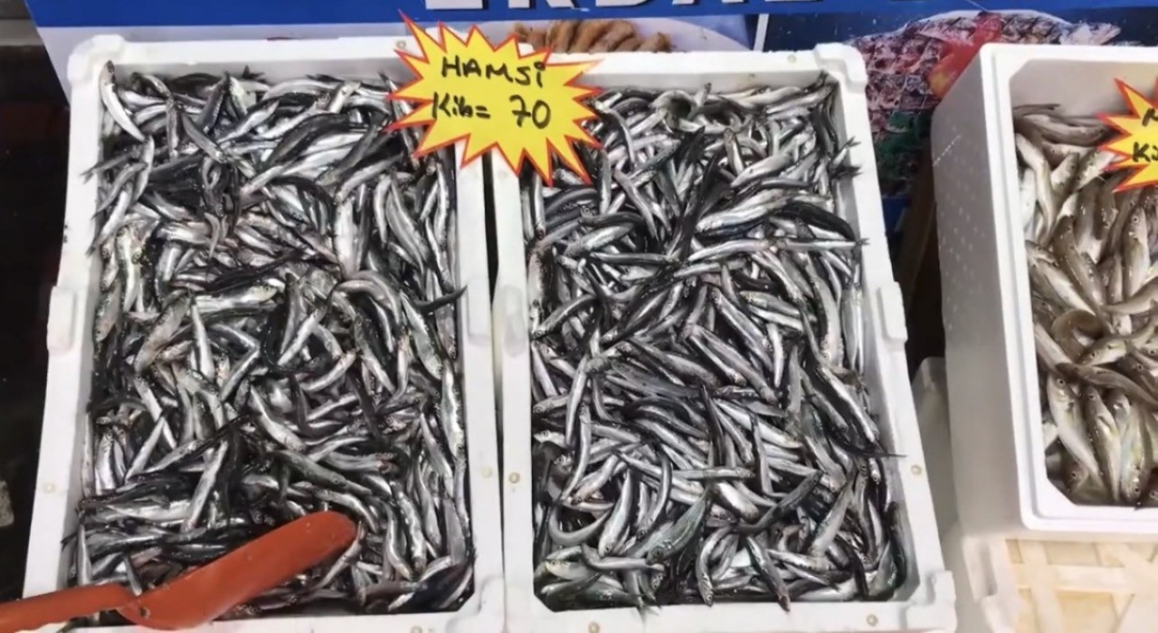 Akçakocadan balık tüketicilerine uyarı: Buzhane balığına dikkat