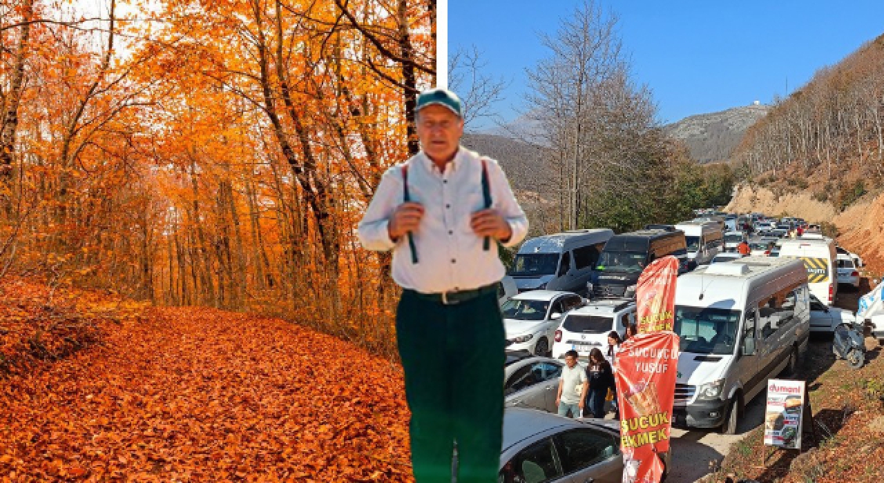 Aktivist Güney’den Dumanlı Yaylası Kiralama Kararına Tepki