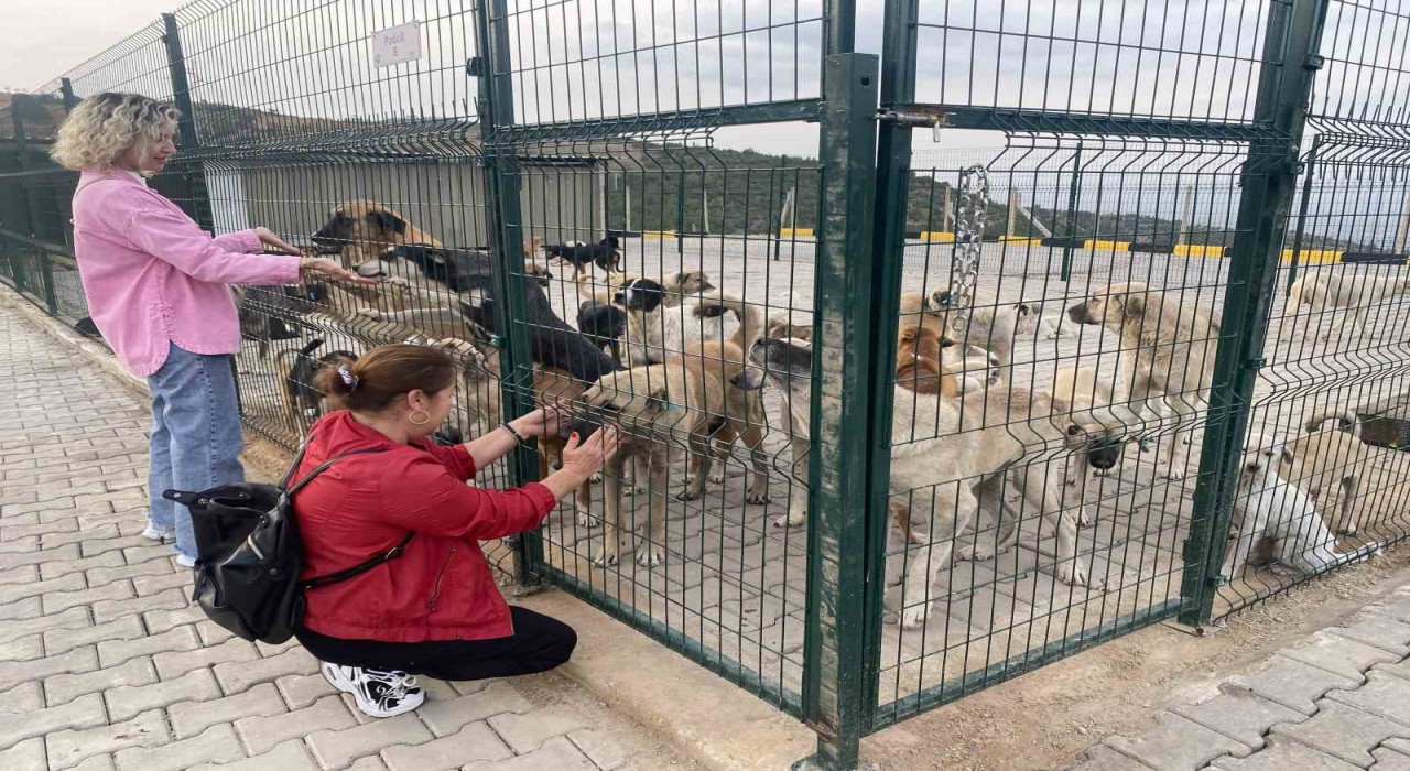 Alaşehirde 30 dönümlük doğal yaşam alanı açıldı