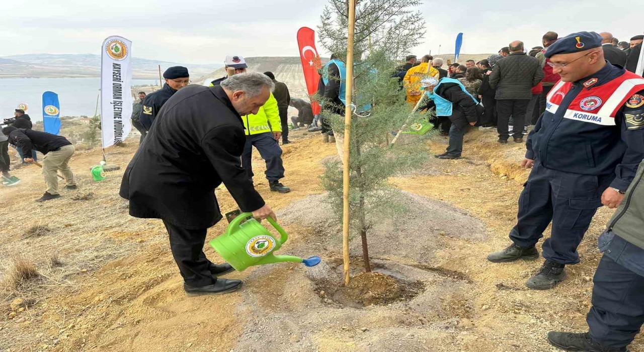 Ali Dağının zirvesine 1111 fidan