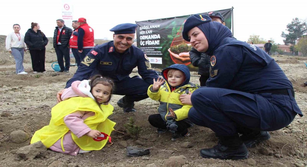 Amasyada 4 binden fazla fidan toprakla buluştu