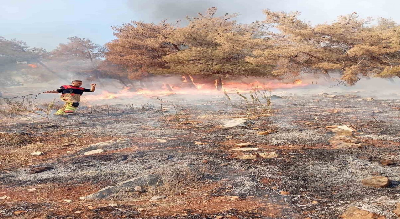 Antakyada orman yangını