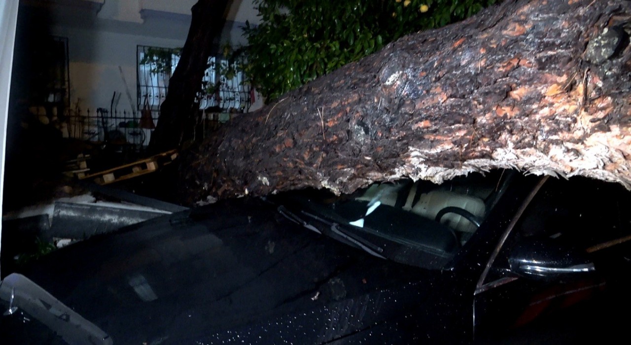 Antalyada yağmur ve şiddetli rüzgar 10 metrelik ağaç devrildi: iki araç ve bina zarar gördü