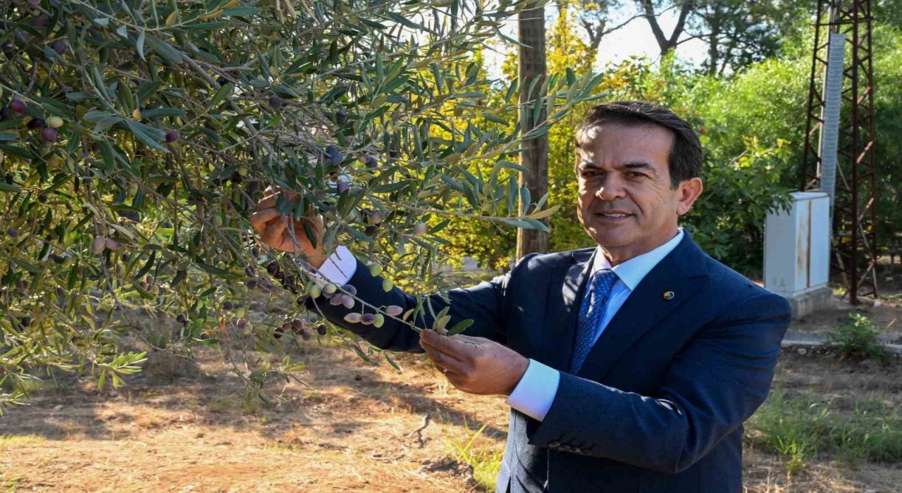 Antalyanın sıvı altını yarışacak