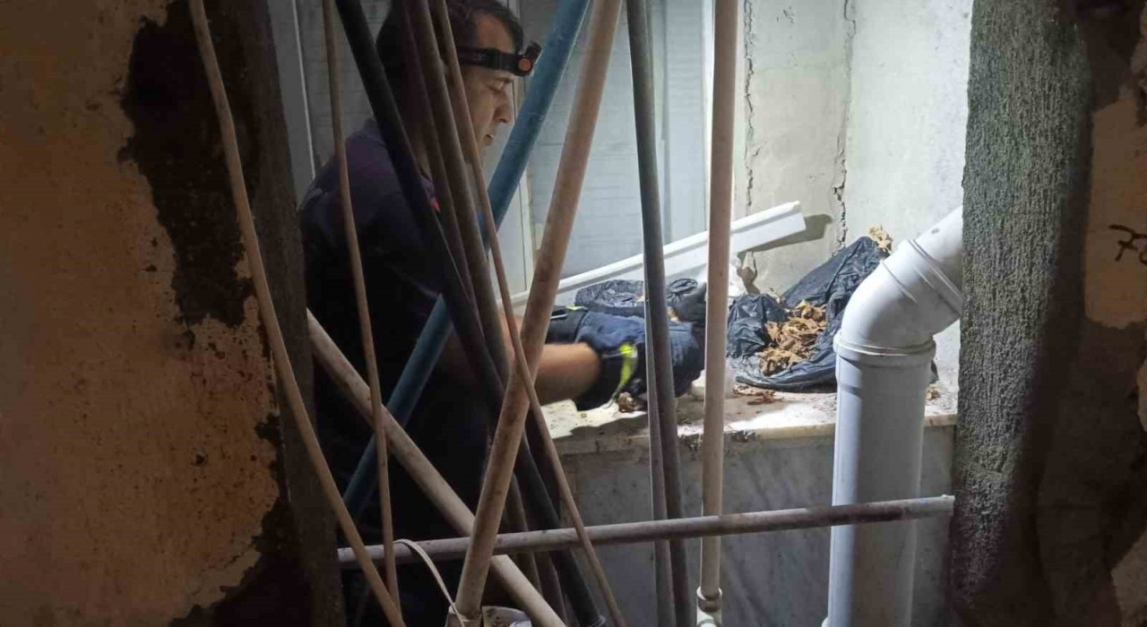 Apartman boşluğuna düşürek mahsur kalan yavru kediyi itfaiye ekipleri kurtardı