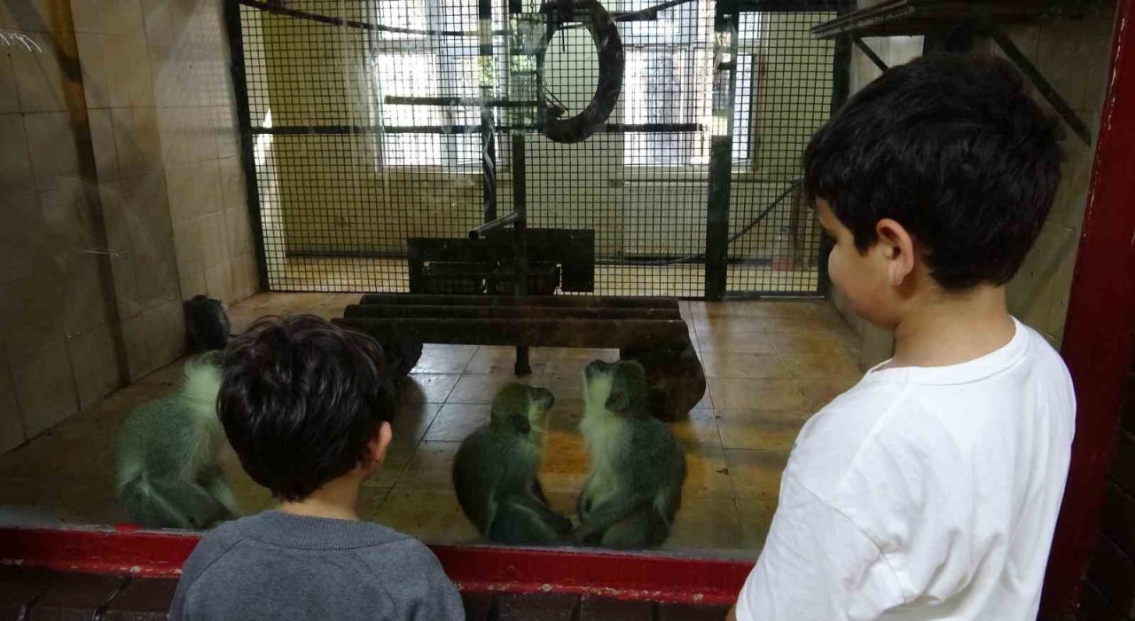 Ara tatile çıkan öğrenciler soluğu hayvanat bahçesinde aldı